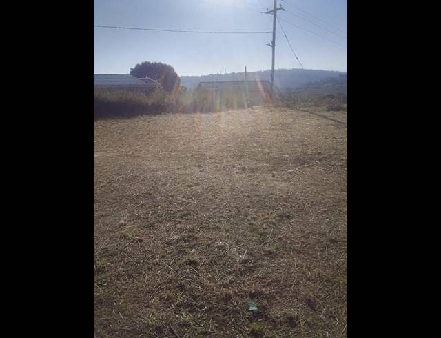 LAND FOR SALE IN KWAMAKUTHA